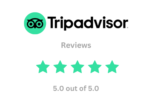 A collage of Tripadvisor reviews showcasing guest experiences at a city hotel, highlighting ratings and comments.