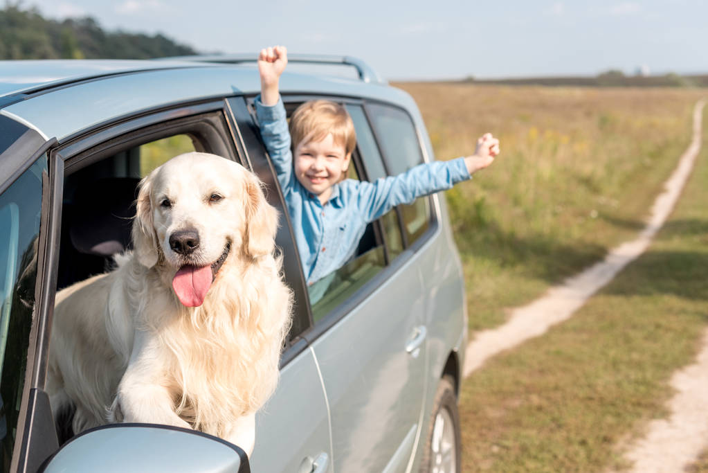 Happily kid with his dog riding in car