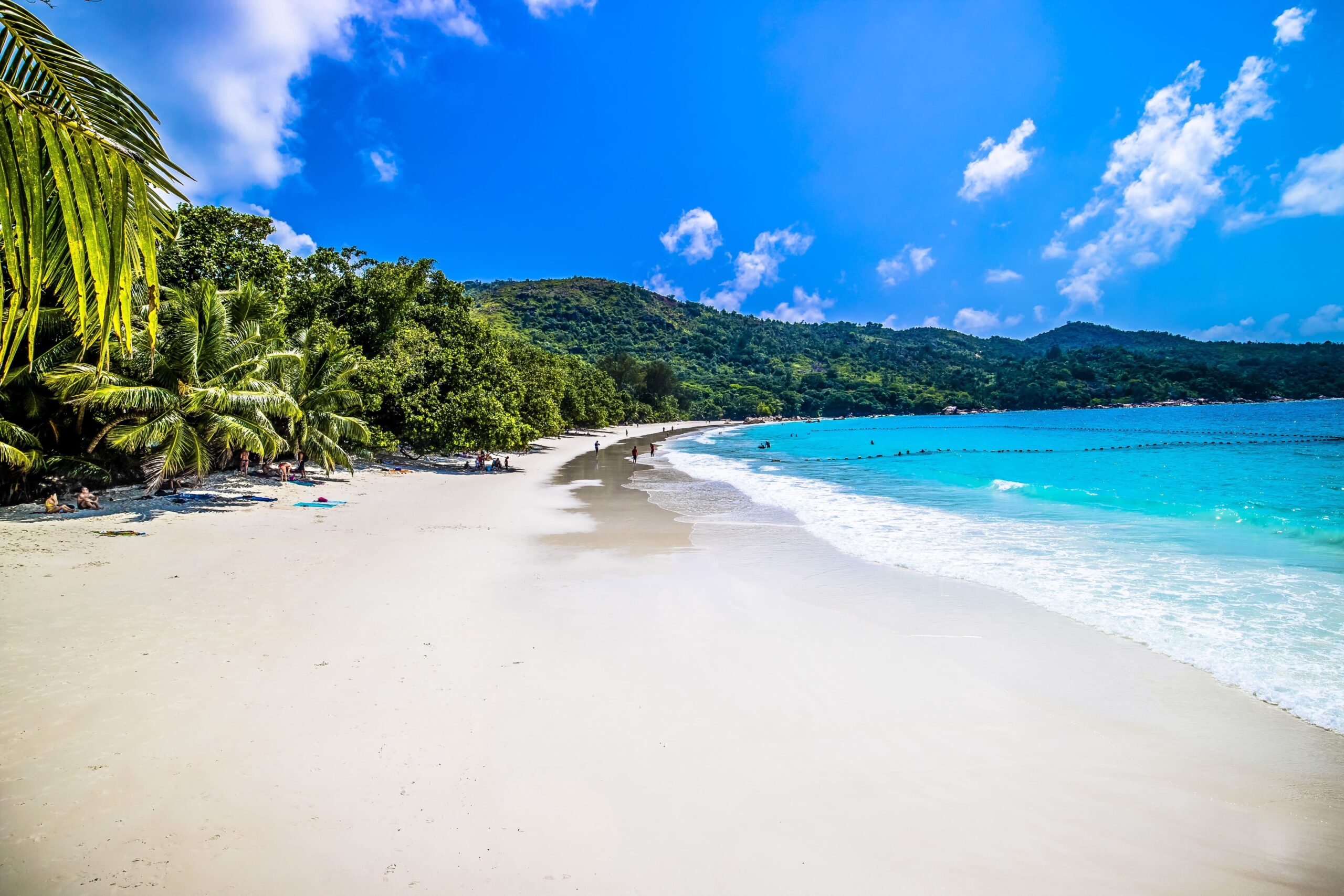 beach-surrounded-by-sea-greenery-sunlight-blue-sky-praslin-seychelles