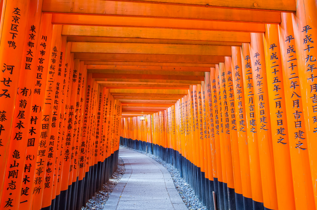 Thousands of vermilion Torii 